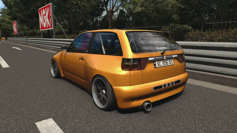 Seat Ibiza (Racing Version)