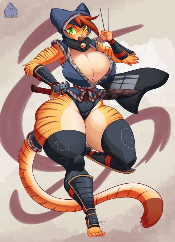 Ninja Cat