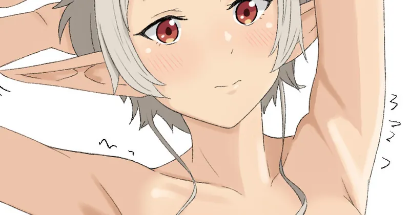 しるふぃ＋差分
