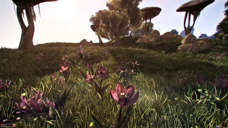 Morrowind Remastered Graphics