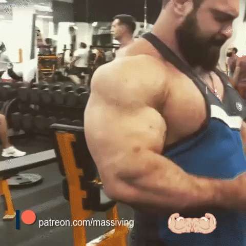 Brutal bear trainning