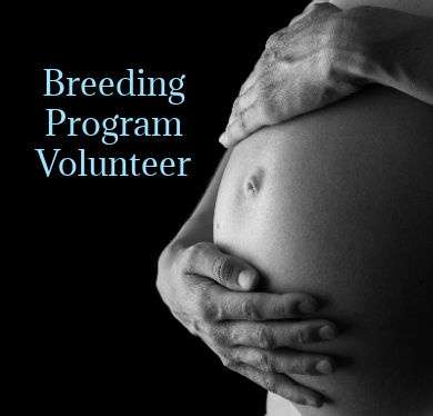 Breeding Program Volunteer 