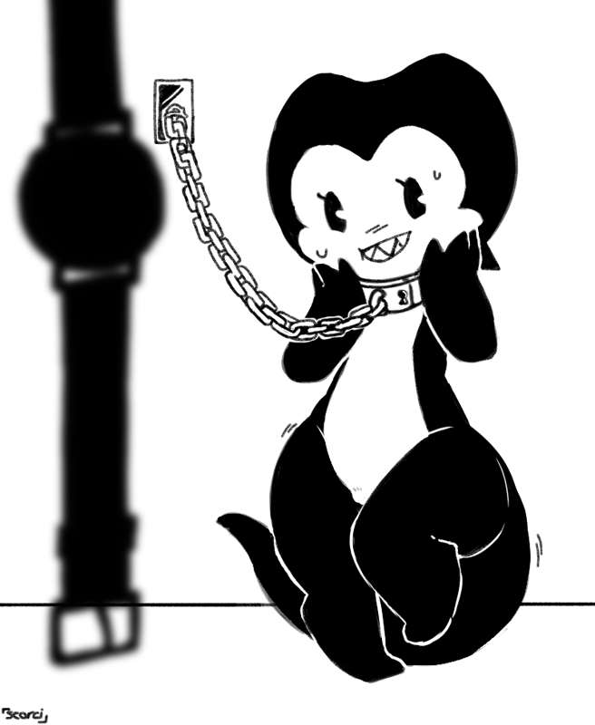 Play time pet