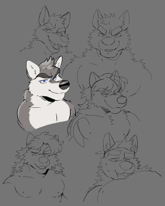 five wolves and one husky