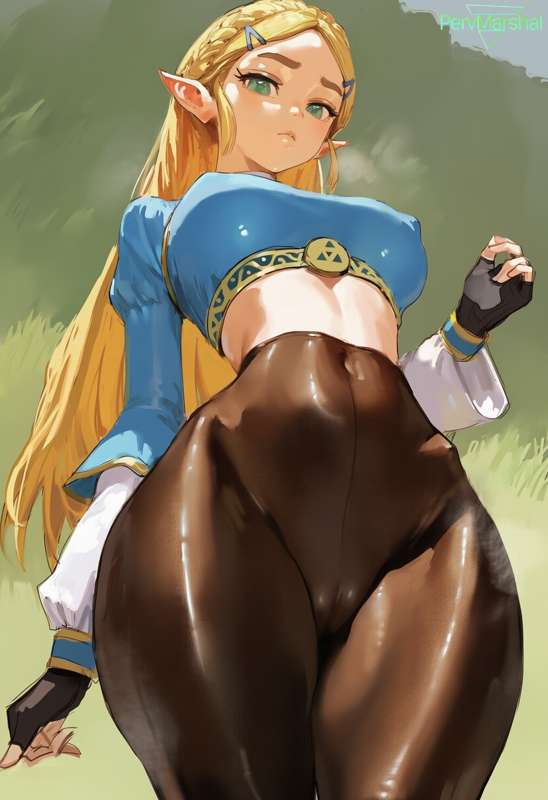 Princess Zelda (22PIC)