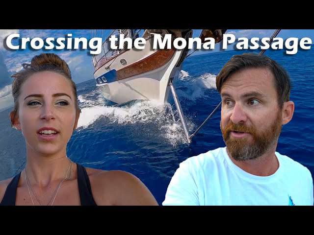 Amazing amount of whales in this video!  