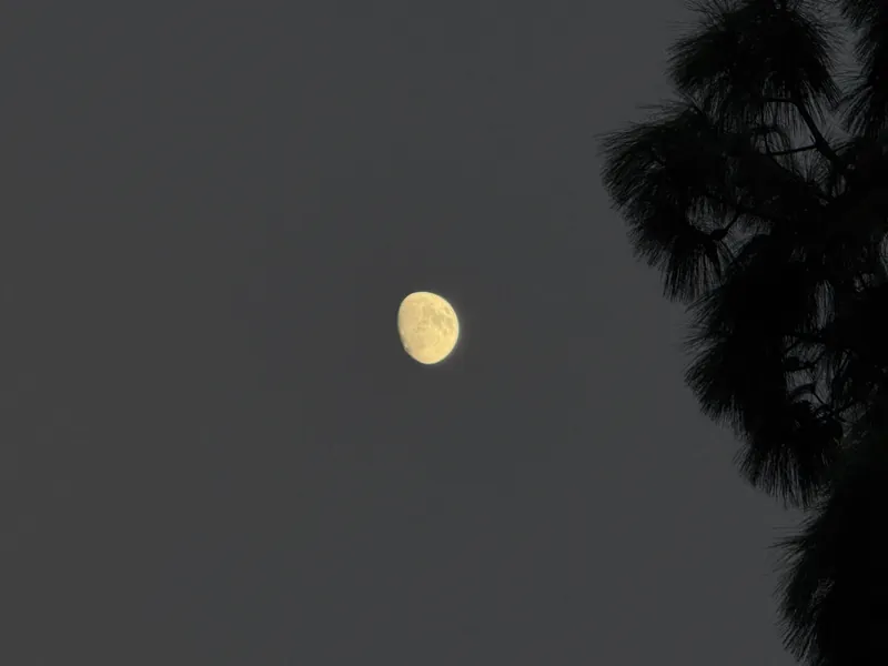 September 22. Moonlight. 