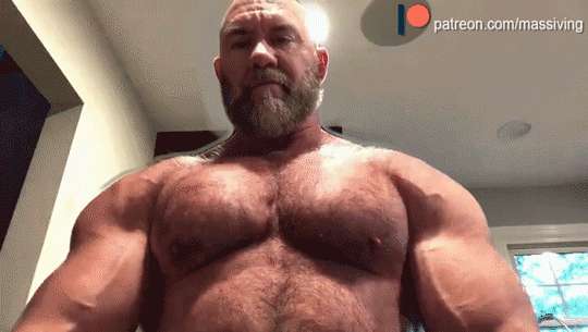 Big alpha bear showing dominance