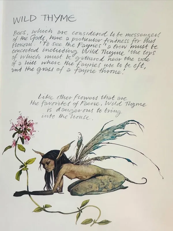 Faeries. Printed 1979. Illustrated in full color by Brian Froud and Alan Lee. A modern classic.