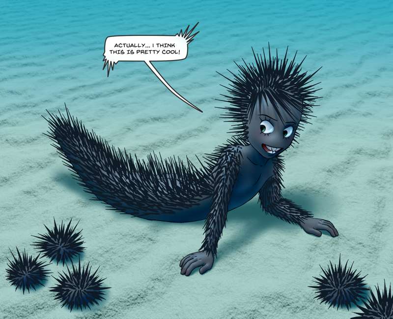 Dirk the Urchin