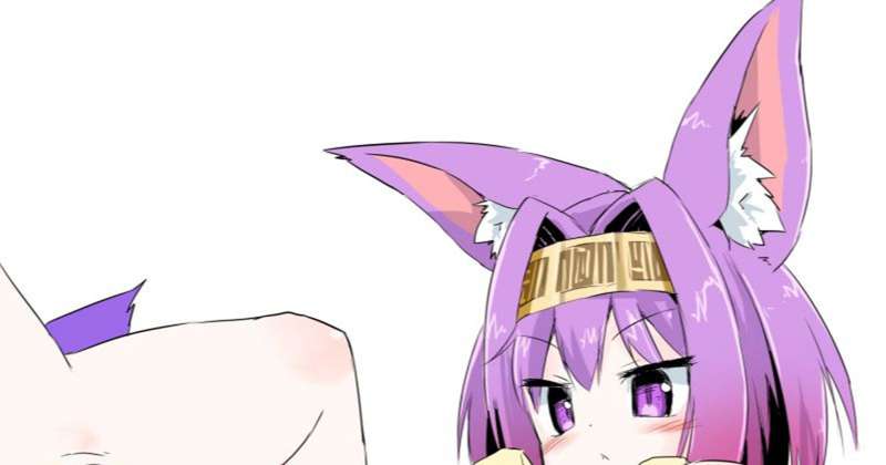 いづなたんのすじ