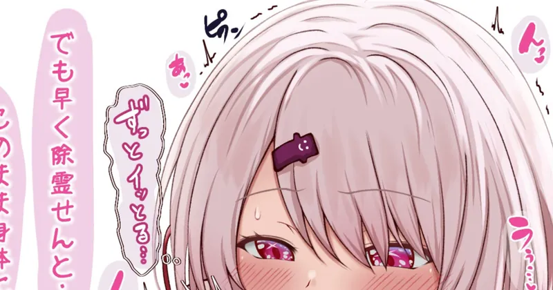 ｢ふた除霊セルフπズリsisi 全4枚｣