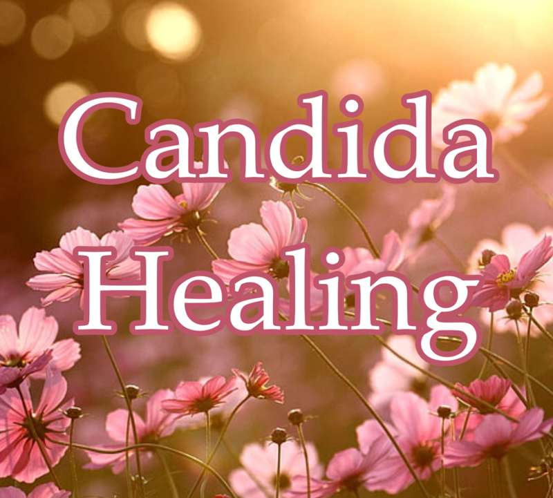 Candida Relief and Healing! ~ Isochronic Tone 427 Hz + Rife frequencies 