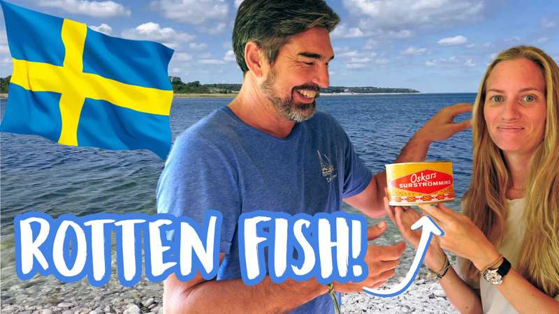 Funniest things about SWEDEN! 🇸🇪 SV Delos Ep 352