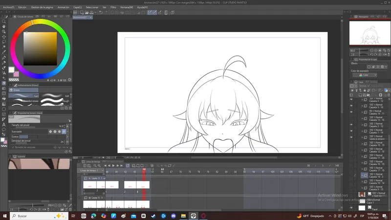 Animation preview