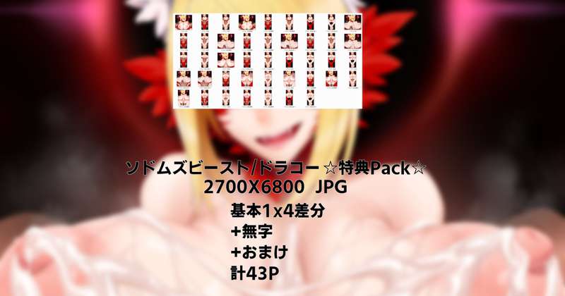 ドラコー☆特典Pack☆