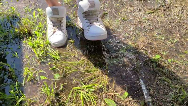 Playing in water with my dirty DC's 