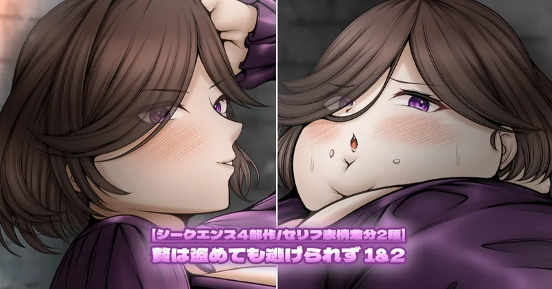 【Skeb／シークエンス4部作①②／セリフ付き表情差分2種】贅は盗めても逃げられず