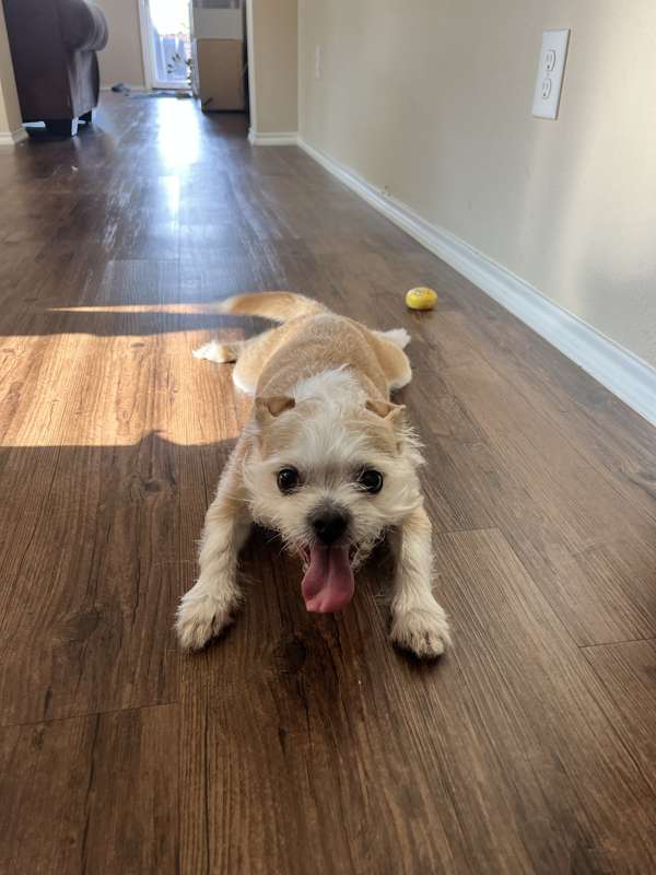 A happy boy!