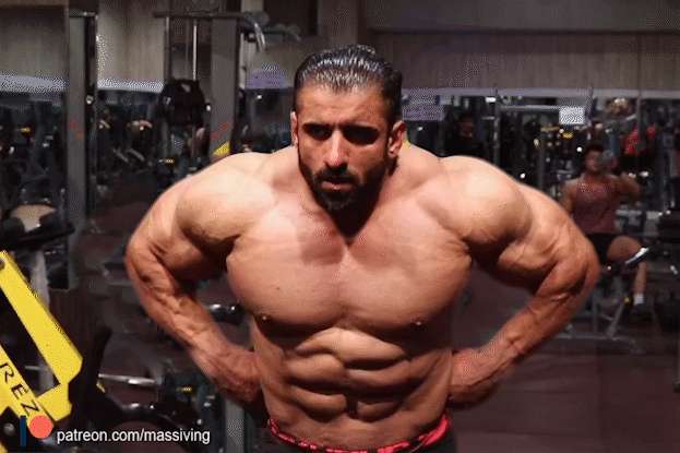 The Persian Wolf