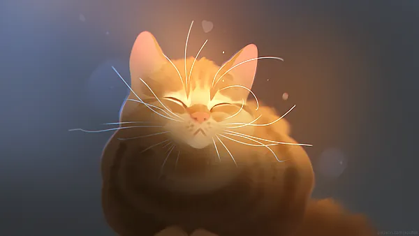 Hello sunshine! HD Wallpaper