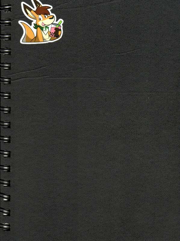 Sketchbook 4