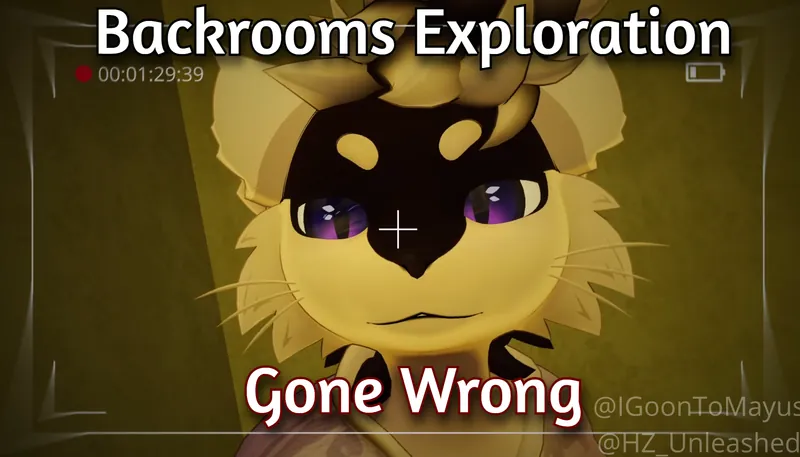 Backrooms Exploration Gone Wrong