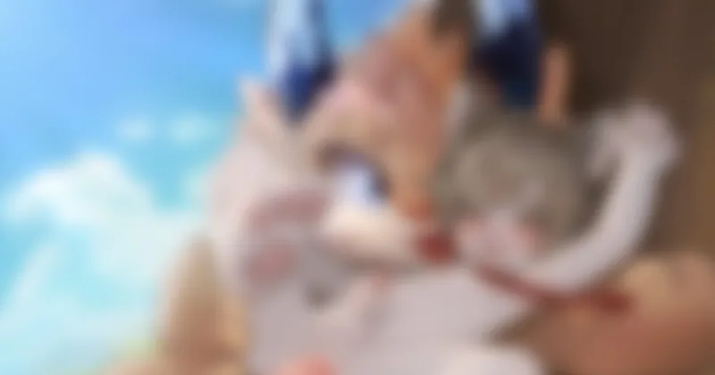 >;3