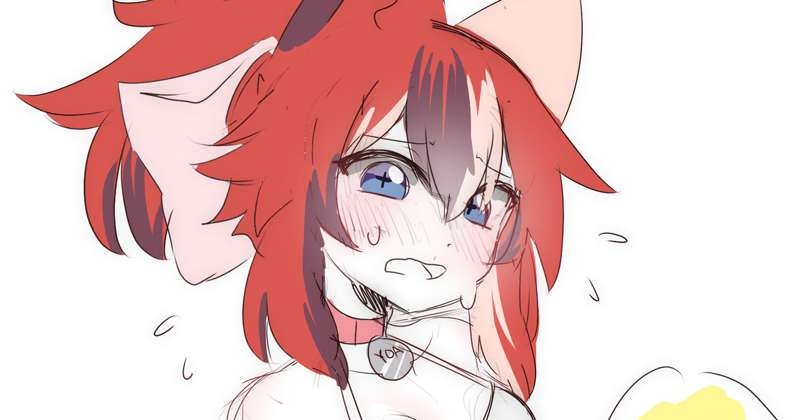 idea requests