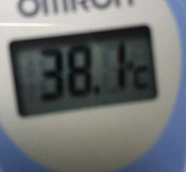 【重要】流行り病に罹患してしまいました。