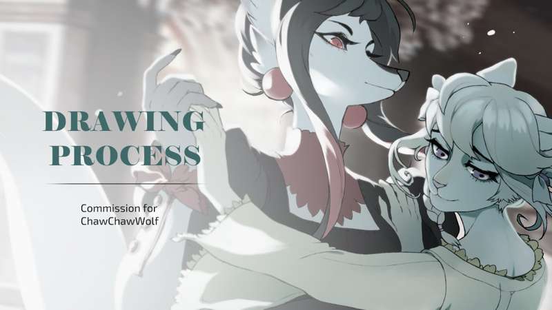 Drawing Process: Comission For ChawChawWolf