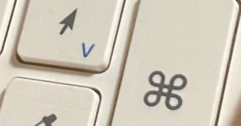 サポートで用意させていただきました(おてて初披露！？)