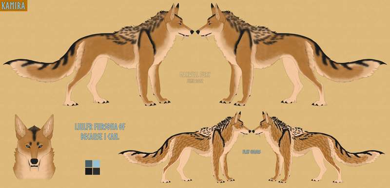 Kamira [Ref sheet, commission]
