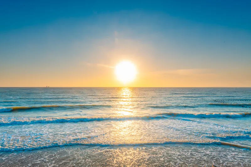 Good Morning! Happy Humpday! Nov 23, 2022