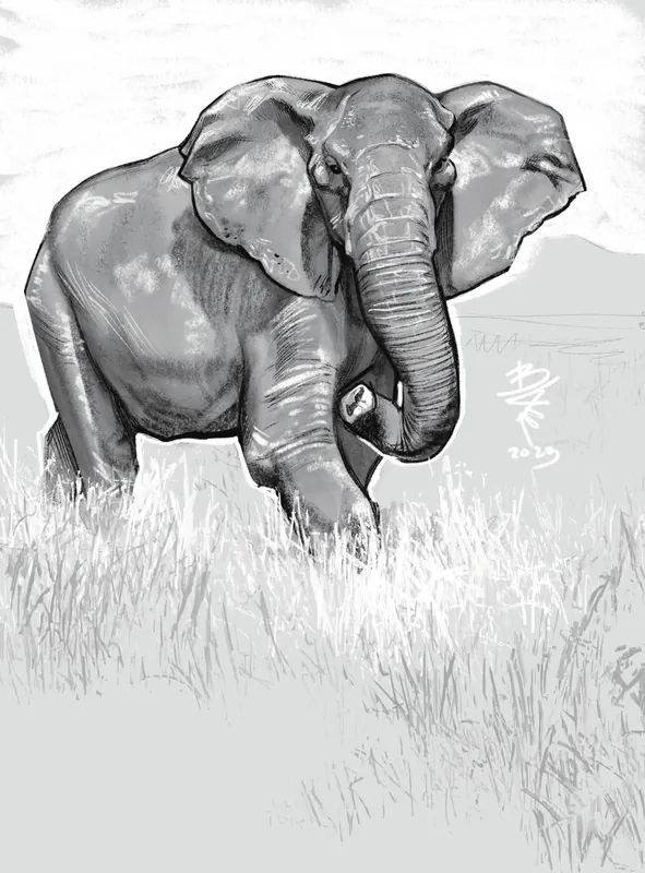 Studies 